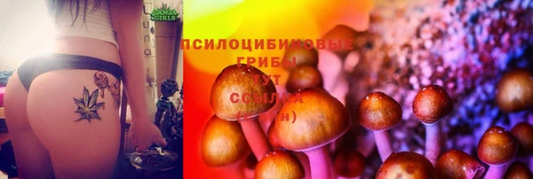 винт Беломорск