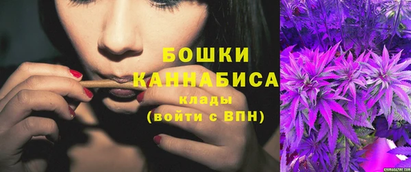 гидропоника Белокуриха