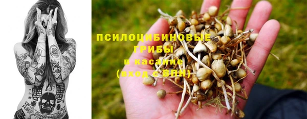 гидропоника Белокуриха