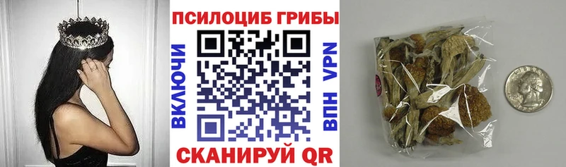 Псилоцибиновые грибы GOLDEN TEACHER Купить закладки Грязи